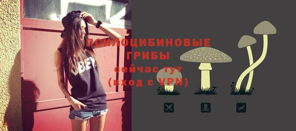 Альфа ПВП Гусев