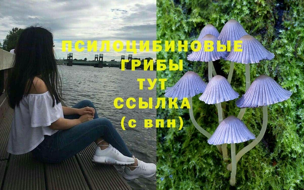 соль курить ск Волоколамск