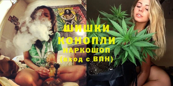 Альфа ПВП Гусев