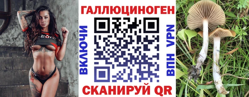 дарнет шоп  Дальнегорск  Псилоцибиновые грибы ЛСД 